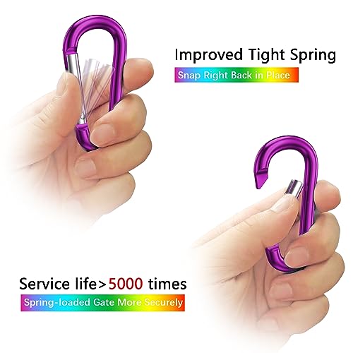 Image of sprookber 3 inch Aluminum Carabiner D Ring, Caribeener Clips, Spring Snap Hook for Keychain Clip, Set of 10