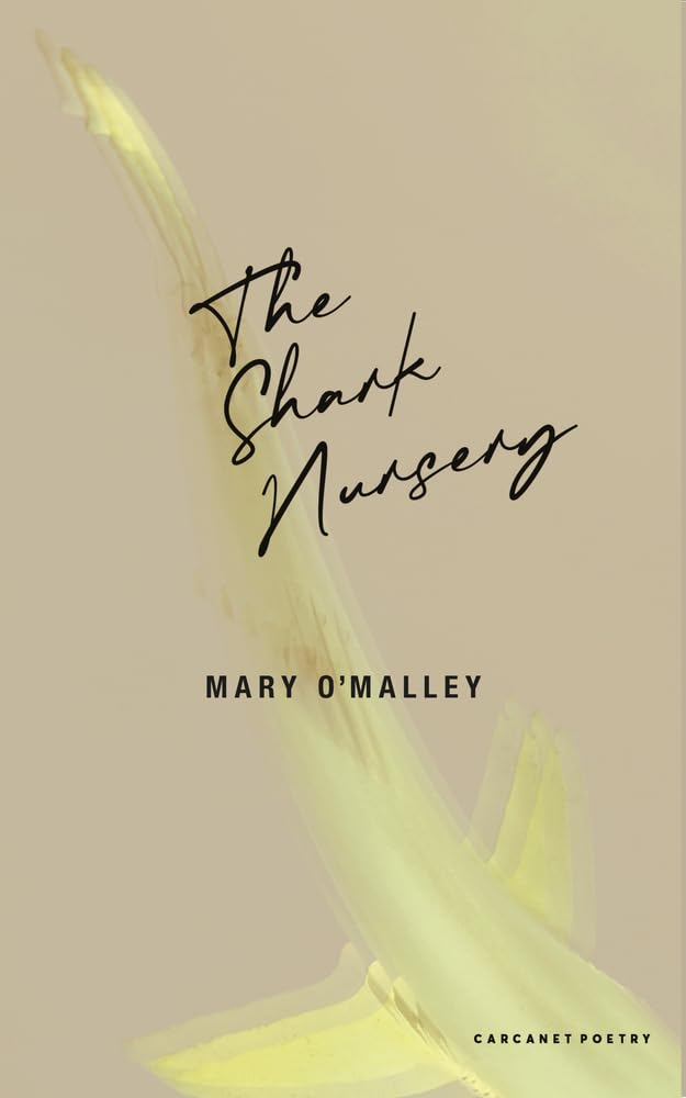 The Shark Nursery by Mary O'Malley PAPERBACK 9781800174146