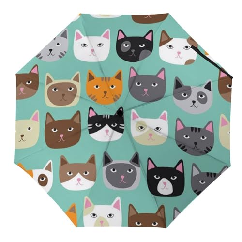 Parapluie pliable mignon visage de chat pour égayer les jours de pluie