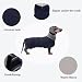 MOREZI Winterhundejacke mit wattiertem Flusenfutter, verstellbarem Klettknopf und hochklappbarem Stehkragen. Sehr gut geeignet für Dackel und kleine und mittelgroße Jagdhunde-Navy-M