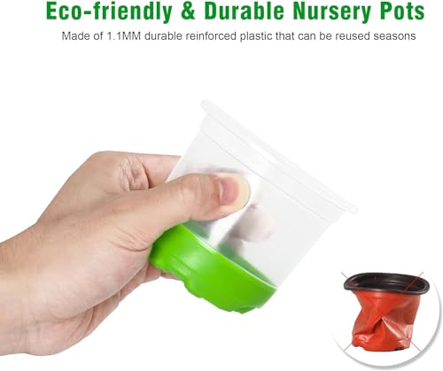 MIXC Anzuchttöpfe 24 Stück 10cm Pflanztöpfe Transparent mit Silikonsockel für einfache Beobachtung und Transplantation Wiederverwendbar Blumentöpfe aus Kunststoff für Pflanzen,Grün