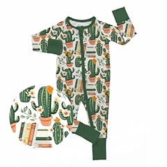 Storytime in the Desert Zippy