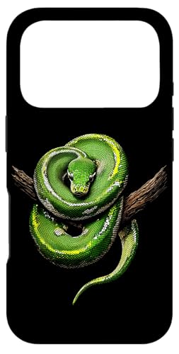 �ʔ����O���[���c���[�p�C�\�����D�ƃw�r঒��ށB �X�}�z�P�[�X iPhone 17 Pro �p