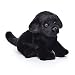 Nat and Jules Black Labrador Plush Toy, Small