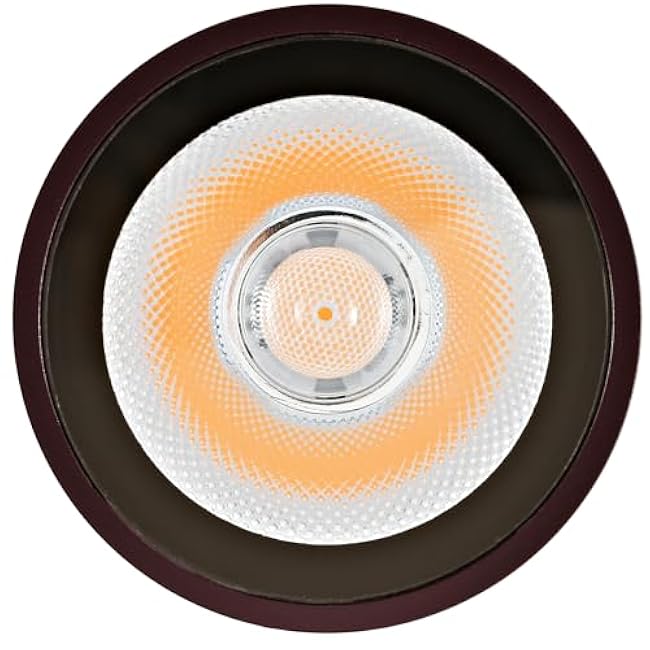 Dusk to Dawn Outdoor Lighting Sensor Wall Lights 2Pack, 12W 2700K Integrated LED Cylinder Up Down Lights Outdoor, IP65 Waterproof Aluminum Exterior Wall Sconce for Porch Patio. Brown