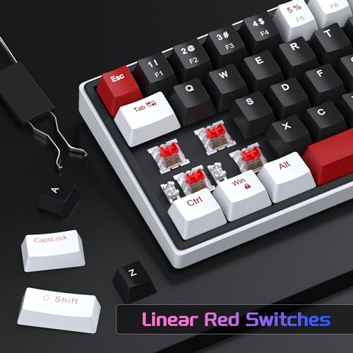 MageGee 60% Mechanical Gaming Keyboard, 68 Keys Compact Blue LED Backlit Gaming Keyboards, SKY68 Wired Ergonomic Mini Office Keyboard for Windows PC Gamer (Red Switch, White & Black)