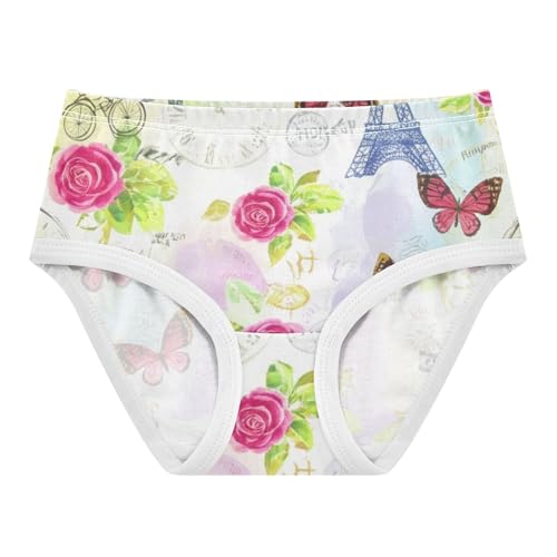 Girls Underwear Toddlers 2t Cotton Panties Little Girl Animal Kids Undies Briefs Vintage Eiffel Tower Rose