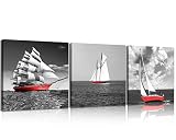 NAN Wind 3 Pcs Modern Giclee Canvas Prints Red Pirate Ship Black and White Wall Art Sailing Boat Mar