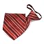 Red Douglas Striped