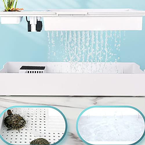 Reptielen Terrarium Kit Lang glazen reptielenterrarium Kweekbox Pet Feeding Box Little Animal Cage voor Spider Schildpad Slakken Hagedis Duizendpoot - Afbeelding 5