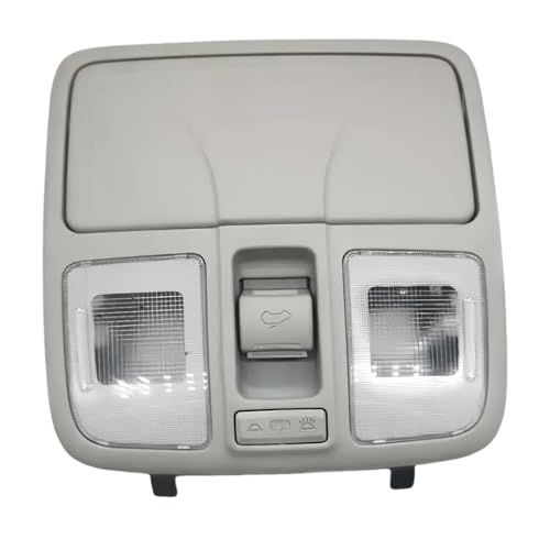 Compatible with Hyundai Tucson 2015 IX35 Dome Light Reading Lamp Sunroof Switch Car Glasses Case OEM 928202S100 928102S000TTX
