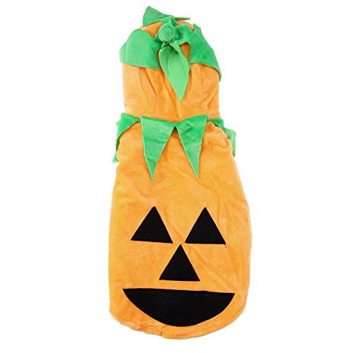 Vestito da Cane di Zucca