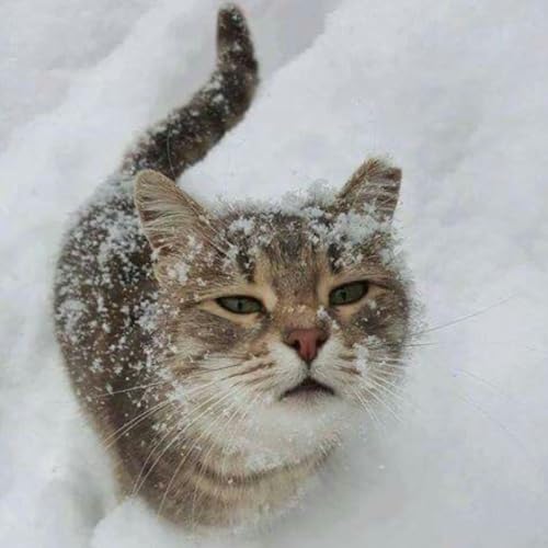 『christmas village』のカバーアート