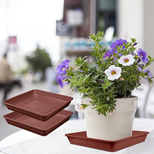 Lnq Luniqi 10 Pcs Square Plastic Plant Saucer 6 Inches Flower Pot Bottom Seat Flower Pot Tray Thick Plastic Drip Tray For Garden Potted Water Drips And Soil（Brown） #TOP2