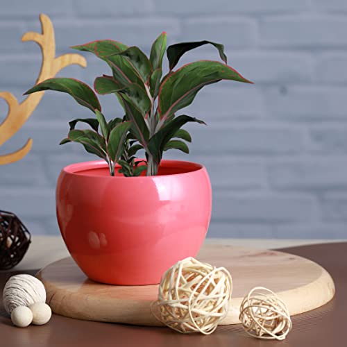 Image of Metal Planter Pot for Indoor Plants & Flowers Table Top Planter for Living Room, Home Decor Decorative Pots for Indoor Plants Rust Free Metal Planter for Balcony and Garden Decor (Pink)