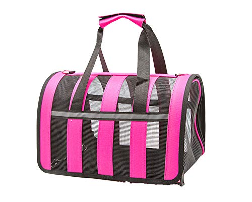 Flairstar Portador de Perros y Gatos Transportín del Mascotas Bolsa de Malla Transpirable de Viaje Bolso