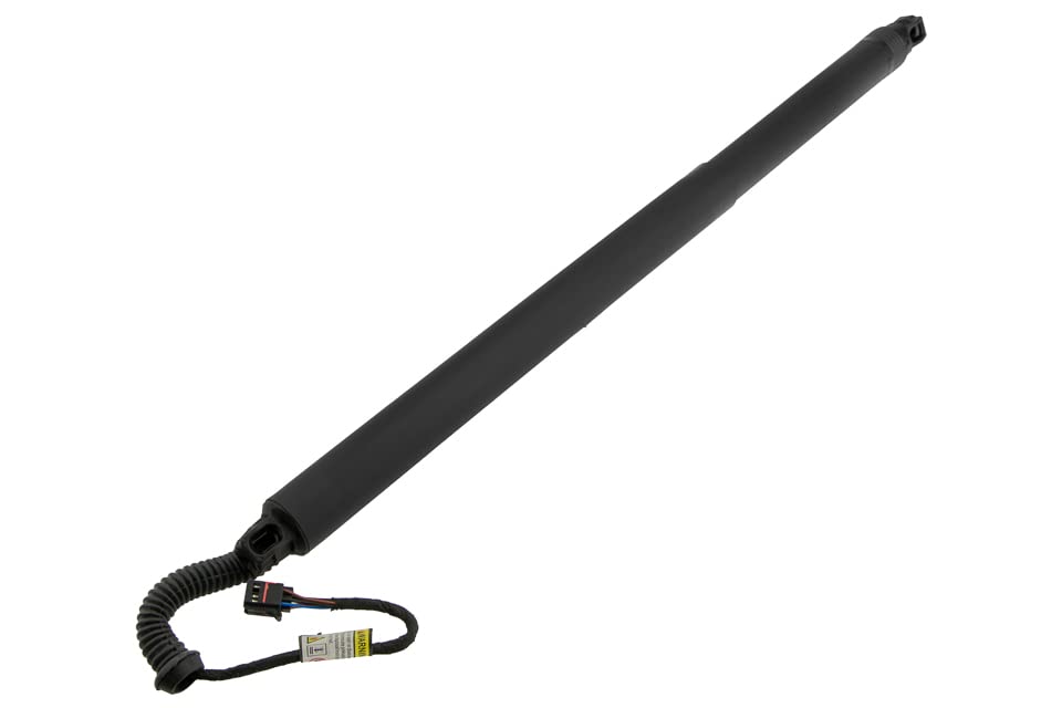 Ressort de hayon droit pour Nissan Murano Z52 (15-) | Vérin AE-NS-028