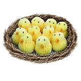 These 10 chicks with chicken nest will be a great addition to your holiday decoration for desk, bookcase or cabin. And it very cute, attract kids attention.