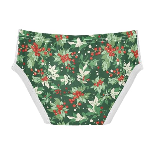 visesunny Boys Cotton Underwear Mistletoe Red Fruit Printed Toddler Soft Training Briefs Size 2T-8Y for Kids2
