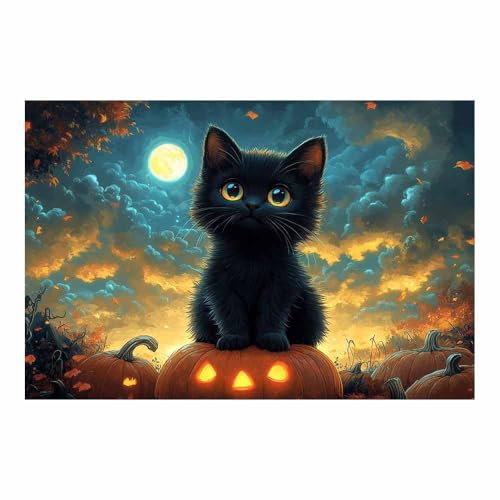 Fond F Halloween thème pour studio photo compact éviter les reflets avec motif citrouille