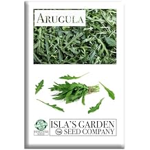 Arugula Seeds Eruca vesicaria SSP. Sativa 1000+ Non-GMO & Heirloom Seeds by Islas Garden Seeds, Fast-Growing Salad Green with Bold Flavor, Ideal for Raised Beds, Containers & Kitchen Gardens