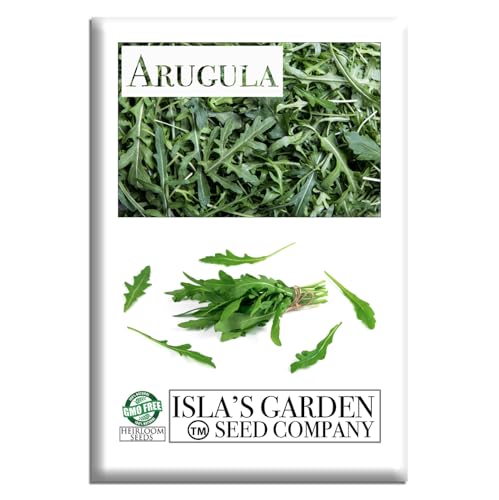 Arugula Seeds (Eruca vesicaria SSP. Sativa) – 1000+ Non-GMO & Heirloom Seeds by Isla’s Garden Seeds, Fast-Growing Salad Green with Bold Flavor, Ideal for Raised Beds, Containers & Kitchen Gardens