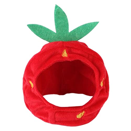 Jiswhisker Xq 킢 ybgXq RX`[ EBbO wbhMA g t[h ^ L  a p[eB[ ʐ^BeɓKp, 