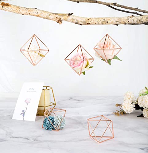 Mkono 5 Packs Air Plant Holder, Same Shape Mini Metal Tabletop Himmeli Decor Modern Geometric Planter Tillandsia Air Fern Display Stand With Each Side 2.6'' Long For Home Office Decor Gift Idea, Pink #TOP2