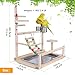 TEMU-SC Wooden Bird Stand for Parrots, Parakeet, Cockatiel (14.57 * 10.24 * 17.32IN)