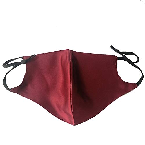 Silk Face Mask For Women Recyclable And Cleanable Keep Warm In Winter,Soft Cloth For The Nobility
