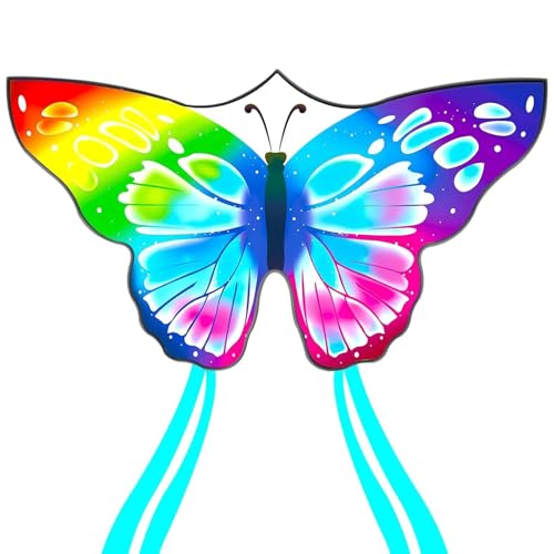 Flying Hoofer Schmetterlings Drachen Flugdrachen für Kinder und Erwachsene Einfach zu fliegen(55'X28') – Großer Drachen Einleiner für Strand,Anfänger und Familie,mit 300FT Schnurgriff