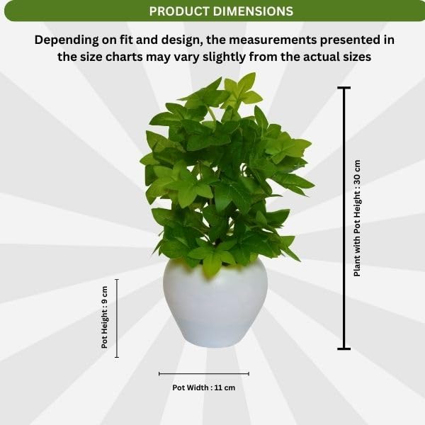 Image of fancymart Artificial Plant Leaves in Apple Pot (30 cm Height) | Small Potted Plant for Office Desk | Home Decor for Living Room | Cafe & Restaurant Table Decoration