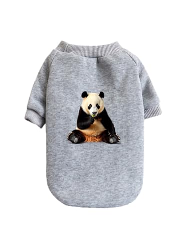  p_ F  ʐ^ ybg hbOEFA ̕ L ybgEFA h _炩 іh~   t@bV U ybgpi