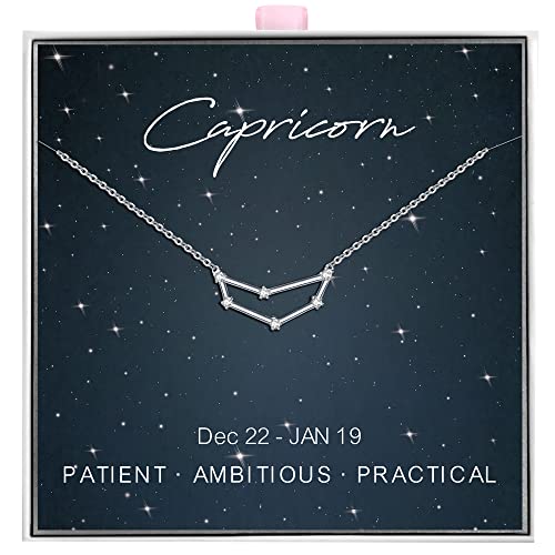 ALoveSoul 925 Sterling Silver Constellation Horoscope Zodiac Capricorn Necklace, Gift for Women Girls