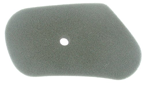 Greenstar 5562 Filtre à air pour Honda HR173 135 x 72 x 23 mm