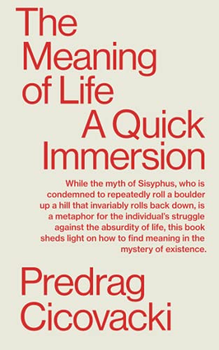 THE MEANING OF LIFE: A Quick Immersion