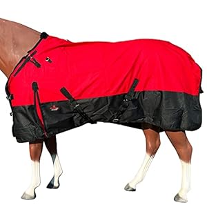 HILASON 1200D Turnout Light Winter Waterproof Rain Sheet Horse Sheet Black | Horse Sheet | Horse Turnout Sheet | Horse Sheets for Winter | Waterproof Turnout Sheets for Horses 75 in