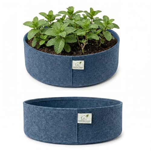 Image of 400 GSM Geo Fabric Round Grow Bags 15x6 Inch, Blue Planting Bags for Terrace and Kitchen Gardening Pack of 2