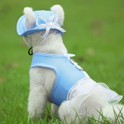 YSJCHEBS 1 Blauer Hundesonnenhut, Hundehut, Hut Für Hund, Hundesonnenschirm, Sonnenhut Für Hund, Haustierspielzeug, Hundehut Klein