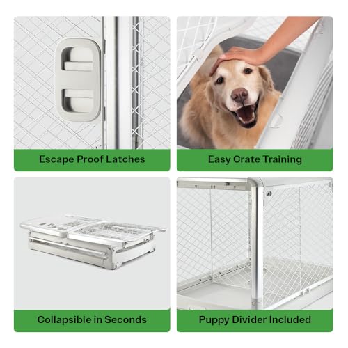 Diggs Revol Dog Crate (Collapsible Dog Crate, Portable Dog Crate, Travel Dog Crate, Dog Kennel) for Large Dogs and Puppies (Ash) Diggs Revol Dog Crate (Collapsible Dog Crate, Portable Dog Crate, Travel Dog Crate, Dog Kennel) for Large Dogs and Puppies (Ash)