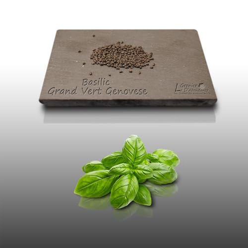 300 graines Aromatiques à semer - Le Grenier d'Abondance - BASILIC Grand Vert Genovese - Ocimum basilicum var. Genovese