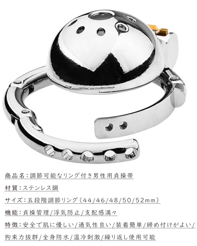 Tibemi 貞操帯 フラット 貞操具 鍵付き ていそうたい男性器 五段階調節貞操リング付き 貞操体 ステンレス鋼 貞操ロック コックロック 拘束具 アダルトグッズ LHDCB-40-TJ - 画像2