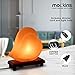 Nevlers Heart Shape Pink Himalayan Salt Lamp w/Wood Base| 2.35 lbs & 7