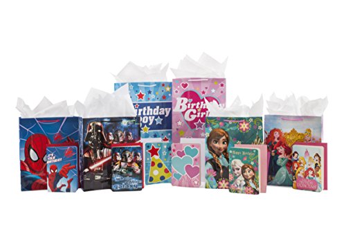 Hallmark 5KFB1361 13 Inch Large Gift Bag With Birthday Card And Tissue Paper  thumb #6