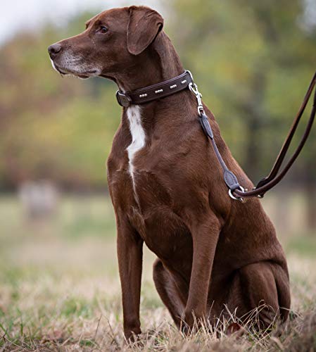 Premium Leder Hundeleine Dora 2,0m - Hunde Leder Leine mit Karabiner - verstellbar Dora (Braun)