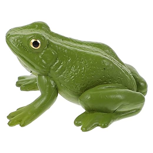 STOBOK 1Pc Frog Figur Frog Modell Utbildningslärning Prop Kid Toy Big Groda Barns Vetenskap Och Utbildning Simulering Animal Modell Leksak Eller Namn