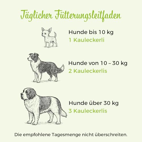 SwissVet Gelenktabletten für Hunde - 120 Kautabletten mit Grünlippmuschel, MSM, Glucosamin, Chondroitin & Collagen - Hochdosierte Gelenkunterstützung für Mobilität & Knorpel - Getreidefrei