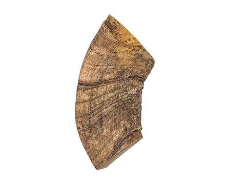 Dahl Sheep Horn Piece G6028