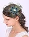 Anglacesmade Broche de plumas de pavo real para novia, tocado con plumas...