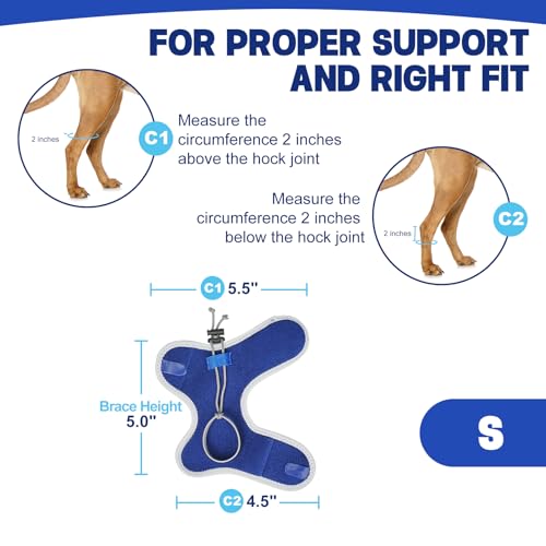 Image of Dog Knuckling Braces Wrap for Hyperflexion of Phalanges Cause by Sciatic Nerve Damage, Carpal Flexural Deformity - Dual Locking Straps for Safe Adjustable Toe Lift Support (Blue, Small)